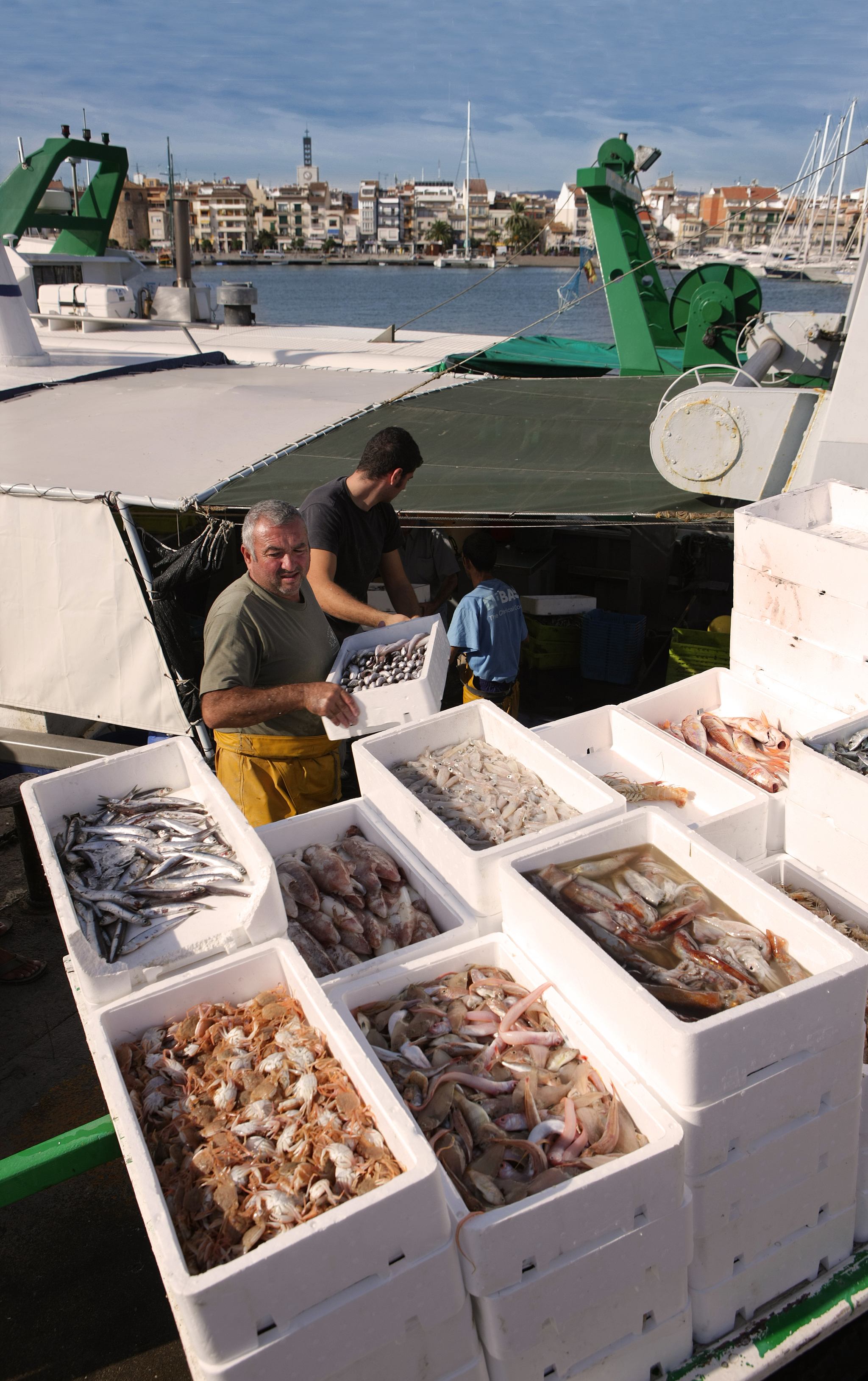 L'ARRIBADA DE LES BARQUES AL PORT DE CAMBRILS