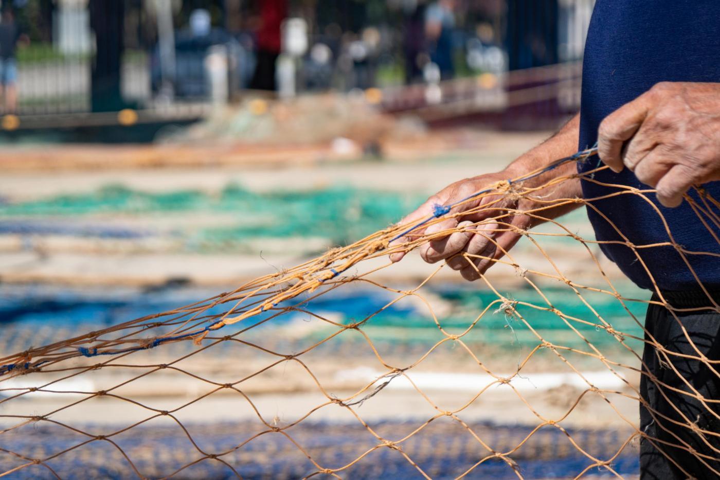 Experience Cambrils - See the fishing boats arrive at the port